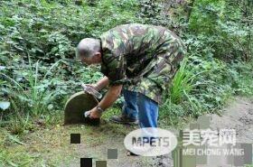 幸福兔兔墓碑发现在树林 130年后被后世人缅怀