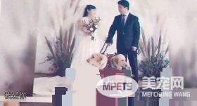 兄妹导盲犬为视障主人牵红线 成幸福4口