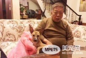 阿公为和狗孙女共睡沙发 崩坏睡姿没有极限