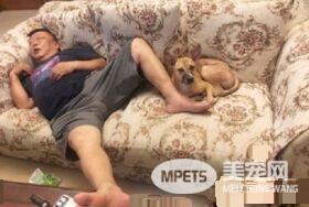 阿公为和狗孙女共睡沙发 崩坏睡姿没有极限
