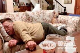 阿公为和狗孙女共睡沙发 崩坏睡姿没有极限