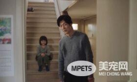 日本Google猫奴系列广告 7种只有内行人才懂的瞬间