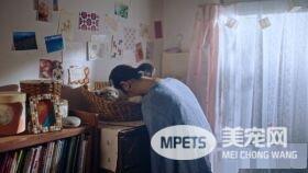 日本Google猫奴系列广告 7种只有内行人才懂的瞬间