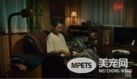 日本Google猫奴系列广告 7种只有内行人才懂的瞬间