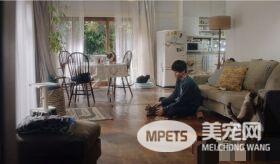 日本Google猫奴系列广告 7种只有内行人才懂的瞬间