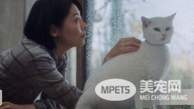 日本Google猫奴系列广告 7种只有内行人才懂的瞬间