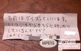 兽医分享往事收到主人留言 结局让万名网友泪崩