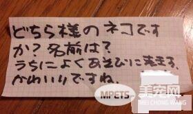 兽医分享往事收到主人留言 结局让万名网友泪崩