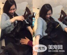 吃豆腐吃的太明显啦! 好色米克斯专挑美女下手