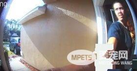 拉不拉多姐妹花合力向邻居求救 救回女主人一命