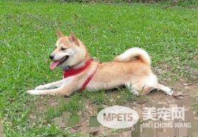 两个月不到增加2公斤 没想到竟长出游泳圈