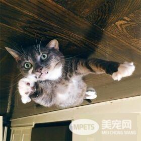 超有趣的无重力照 竟然意外地非常有飘浮感!