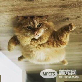 超有趣的无重力照 竟然意外地非常有飘浮感!