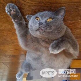 超有趣的无重力照 竟然意外地非常有飘浮感!