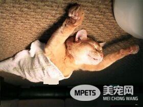 超有趣的无重力照 竟然意外地非常有飘浮感!