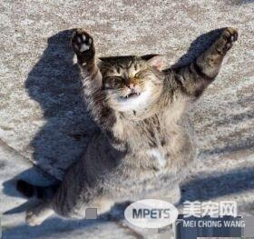 超有趣的无重力照 竟然意外地非常有飘浮感!