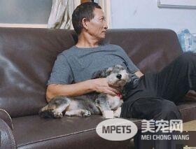 萌狗凭撒娇功夫征服全家 外婆失智只担心狗吃饭没