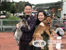 动物之家当志工 找到女友领养毛小孩变一家四口