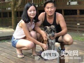 动物之家当志工 找到女友领养毛小孩变一家四口