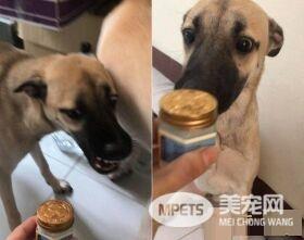 超级嘴痒的破坏王米克斯 克星原来是虎牌万金油