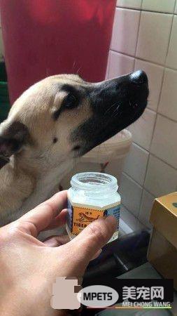 超级嘴痒的破坏王米克斯 克星原来是虎牌万金油