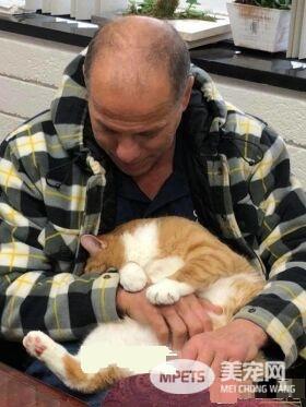 超委屈!三岁橘猫因为太粘人 惨遭主人弃养