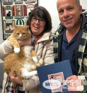 超委屈!三岁橘猫因为太粘人 惨遭主人弃养