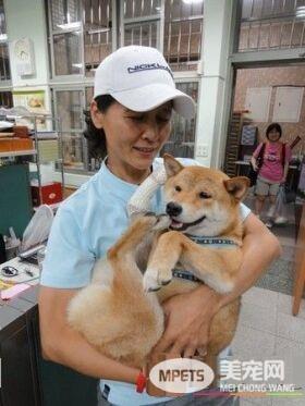校犬误校庆入舞狮表演 一场即兴表演逗笑同学们