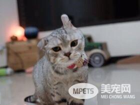 小小爱吃鬼喵星人 超注重形象完美维持身材