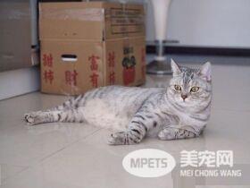 小小爱吃鬼喵星人 超注重形象完美维持身材