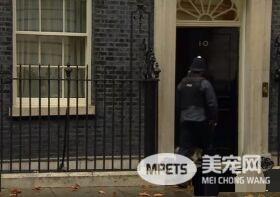 前首相府捕鼠官被解职 雨天急冲回首相府却被关门外
