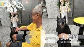 阿伯捡到被弃养汪 意外谱成一段24年父女情