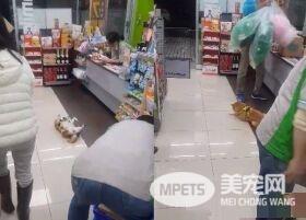 柴柴坏掉了吗？柴柴跟把拔去超商躺大厅中央