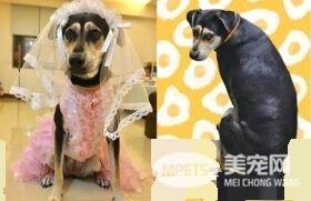 米克斯在阿婆家住半年 从少女变成了大婶