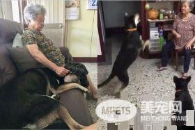 米克斯在阿婆家住半年 从少女变成了大婶