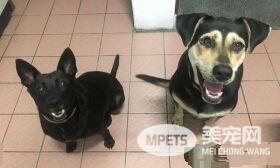 米克斯在阿婆家住半年 从少女变成了大婶