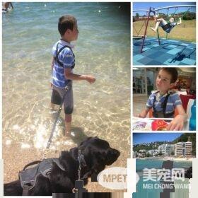 自闭症男孩的忠心服务犬 住院检查也要紧紧守候