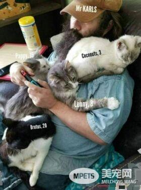 爱猫男子创办猫咪收容之家 让老猫们有一个温暖的家