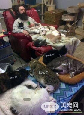 爱猫男子创办猫咪收容之家 让老猫们有一个温暖的家