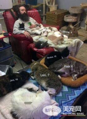 爱猫男子创办猫咪收容之家 让老猫们有一个温暖的家