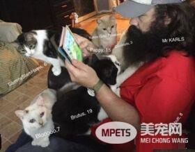 爱猫男子创办猫咪收容之家 让老猫们有一个温暖的家