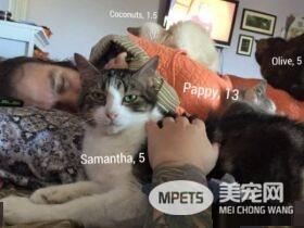 爱猫男子创办猫咪收容之家 让老猫们有一个温暖的家