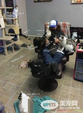 爱猫男子创办猫咪收容之家 让老猫们有一个温暖的家