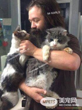 爱猫男子创办猫咪收容之家 让老猫们有一个温暖的家