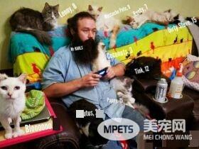 爱猫男子创办猫咪收容之家 让老猫们有一个温暖的家