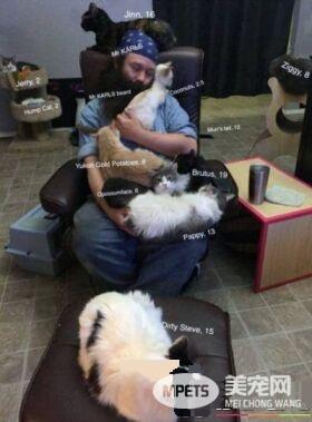 爱猫男子创办猫咪收容之家 让老猫们有一个温暖的家