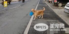 超级暖男阿金 主动帮行动不便的把拔提篮子买菜