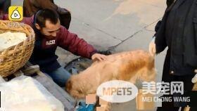 超级暖男阿金 主动帮行动不便的把拔提篮子买菜