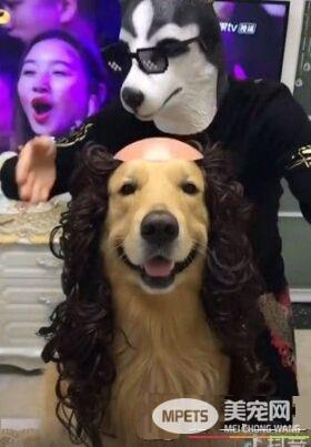 阿金开心做头发见到新造型时 整张脸都垮了!