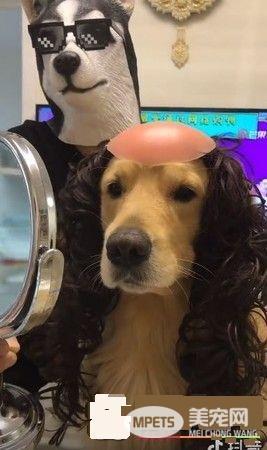 阿金开心做头发见到新造型时 整张脸都垮了!